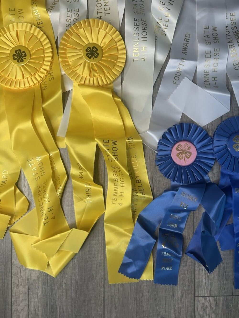 Show Ribbons 4-H Club Rosettes Craft Equestrian Tennessee Shelbyville Lot Of 19 - Picture 11 of 16